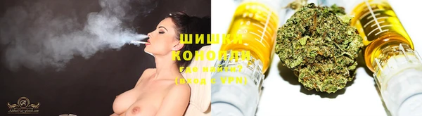 прущая мука Алзамай