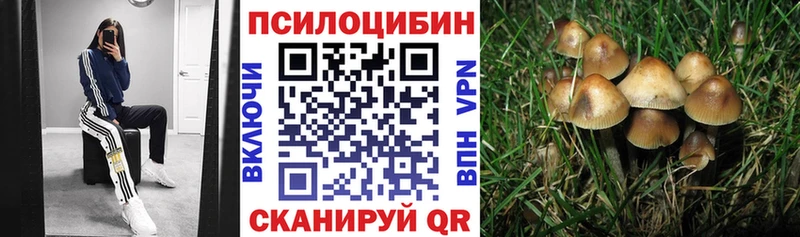 Псилоцибиновые грибы MAGIC MUSHROOMS  МЕГА ONION  Кировград 